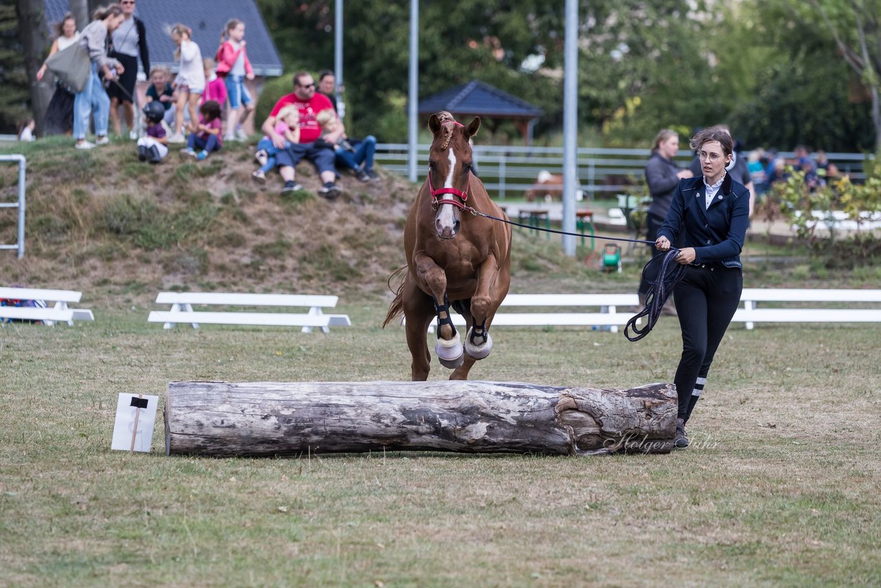 Bild 30 - Pony Akademie Turnier